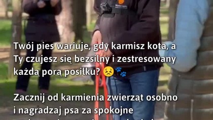 Harmonia przy posiłkach ze zwierzakami!  #Zwierzęta #WytrzymałośćPsa #KarmienieZwierząt