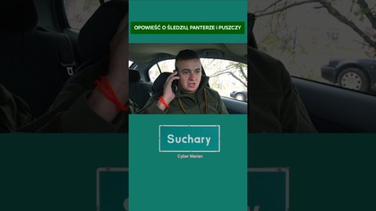 Opowieść o śledziu, panterze i puszczy