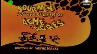 Tiny Toon Adventures 1990 S01E038 DUBpl 480p