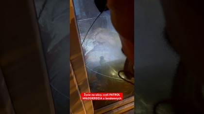 Życie na ulicy, czyli PATROL MIŁOSIERDZIA u bezdomnych 