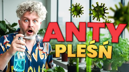 JAK PORADZIŁEM SOBIE Z PLEŚNIĄ | Genialny środek GRZYBOBÓJCZY | GROWVLOG s03e05