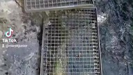 Człowiek całe życie gdzieś pędzi a prawda jest taka, że większość nawet nie wie po co.  