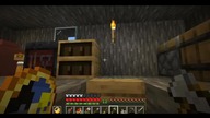The cat jumps onto the bed and falls asleep there #game #minecraft #gaming #games #gameplay #Short