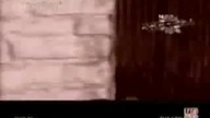 Parodia Terminatora
