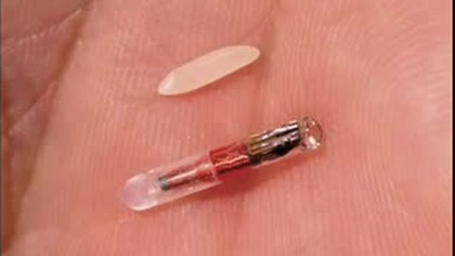 CHIP RFID