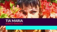 Tia Maria - Dzieci świata 1080p