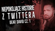 Paraliże senne, niepokojące głosy i strach - Dear David cz.  1