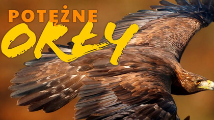 Potężne orły S01E01 Lektor PL