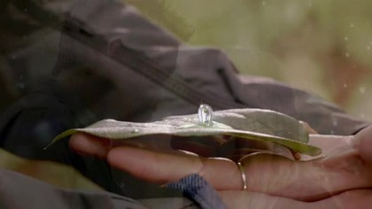 The. Secret. Circle. SO1E14. Valentine.pl