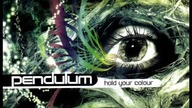 Pendulum - Slam