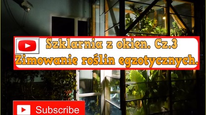 197.  Cz. 3- Ogrzewana szklarnia dla roślin EGZO.  Nowy sezon już blisko