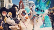 Furry: Poważana analiza