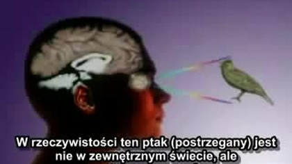 Percepcja - Rzeczywistość poza materią 2