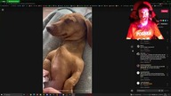 Kontrowersyjny Przegląd Tik Toka #14 / 18+ / Ucięte zasięgi za niewygodne treści, kumam.  To nara YT