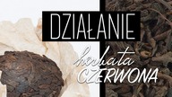 Właściwości czerwonej herbaty Pu-erh (4/5). Czajnikowy.pl