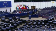 PROROCZA PRZEMOWA BRAUNA W EUROPARLAMENCIE! TO WSZYSTKO DZIEJE SIĘ NA NASZYCH OCZACH!