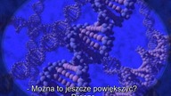 4x07 - napisy pl