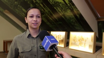 Leśnicy sprawdzili dostępną w internecie mapę wycinek.  - Może wprowadzać mieszkańców w błąd - mówią