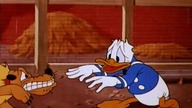 Kaczor Donald - Hipnoza w pigułce