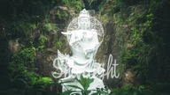 Bwoy De Bhajan - Live @Goulash Disko 2018 [Trip-Hop Folktronica]