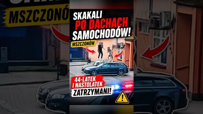 Dwóch wandali i kilka zniszczonych aut.  Finał był szybki.  #Polska #Shorts #naczasie #wiadomości