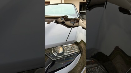 Car spa, detailing i powłoka ceramiczna na koniku.  Dzięki Marek Moskal! #mustang #car #spa #powloka