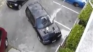 Jak szybko i skutecznie pozbyć się sierściucha z auta