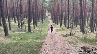 TRAIL RUNNING IN KAMPINOWSKI NATIONAL PARK
