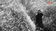 Czarna księga Jak Rosjanie dokumentowali Holokaust-film dokumentalny lektor pl