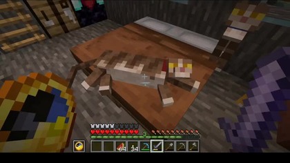 Sleeping kitty #Cats #Cat #minecraft #Game #Games #Short #Shorts #ASMR