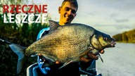OGROMNE RZECZNE LESZCZE - PRECYZYJNY FEEDER w UCIĄGU