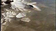 Lodowe Tsunami