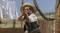 The New World of Zorro (1990) S02E03 "Porwanie"