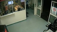 Ciekawski miś koala postanowił odwiedzić szpital w nocy