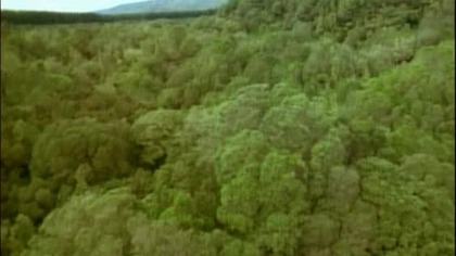 Xena - Wojownicza Księżniczka - Sezon 1 - Odcinek 19 - Ofiara