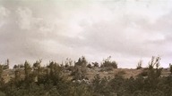 Masakra w kanionie Grand 1964 napisy pl
