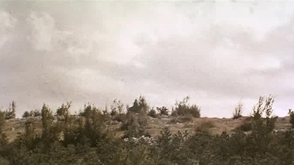 Masakra w kanionie Grand 1964 napisy pl