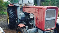 FIlmy od Widzów - Błażej ma nowe nabytki i Dominik w akcji