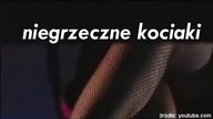 Niegrzeczne kociaki- DWIEMINUTY #32
