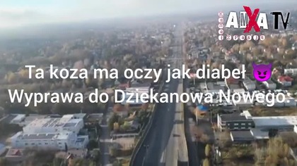 Ta koza ma oczy diabła.
