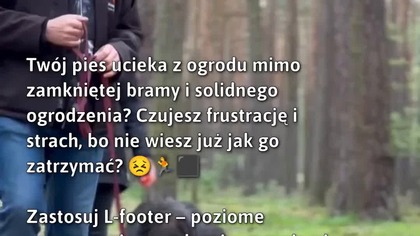 Zatrzymaj psa w ogrodzie!  #BezpieczeństwoZwierząt #PiesWOgrodzie #ZatrzymajPsa
