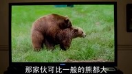 Wiecz&oacute;r Kawalerski - Ted 2