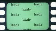 Krzyk.  (1982)