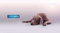 TVP HD- Zmiana oprawy (14. 12. 2024)