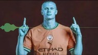 haland ha ha ha ha English version remix