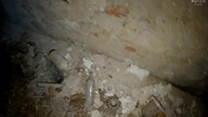 Skarby opuszczonego dworu - Znalazłem sejf! oraz dziwne zdarzenie | Urbex | Wietrzyk studio