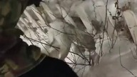 Zając zamarznięty na śmierć został znaleziony w Astanie