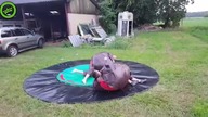 Groźny wypadek podczas zabawy w sumo