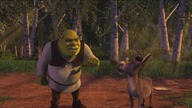 Shrek 3-D (2003) | Duch Lorda Farquaada