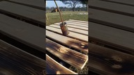 Shou Sugi Ban opalane deski, jak Wam się podobają?  #shousugiban #shousugibantechnique #diy